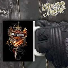 moto, bike, мото, мотоцикл